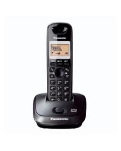 PANASONIC CORDLESS KX-TG2521JTT TITANIUM con vivavoce - KX-TG2521JTT 